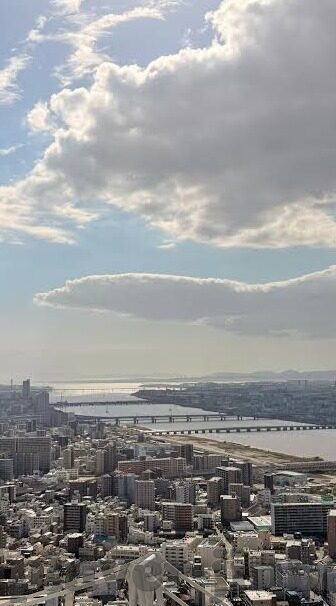 足球比分哪家比较专业-足球比分平台大比拼，哪家才是真正的数据王者？